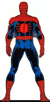 Back of Spidey's costume.