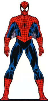 Front of Spidey's costume.